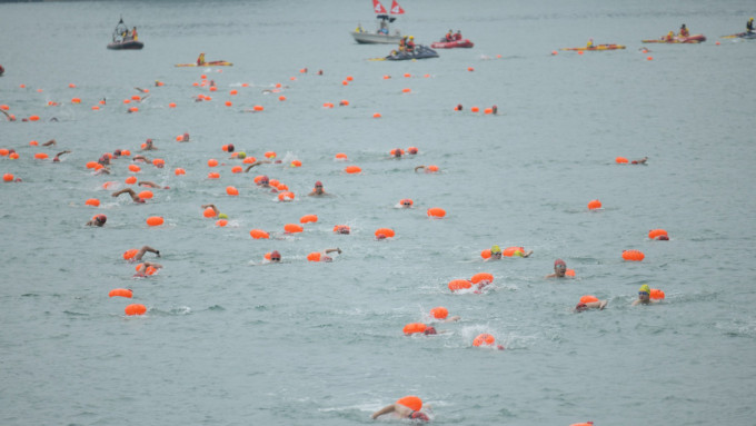 维港泳今日如期举行，最终有1203人参与。梁誉东摄