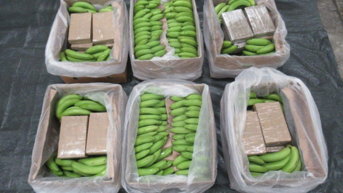 緝獲的可卡因收藏在一批來自南美洲的香蕉箱中。英NCA圖片