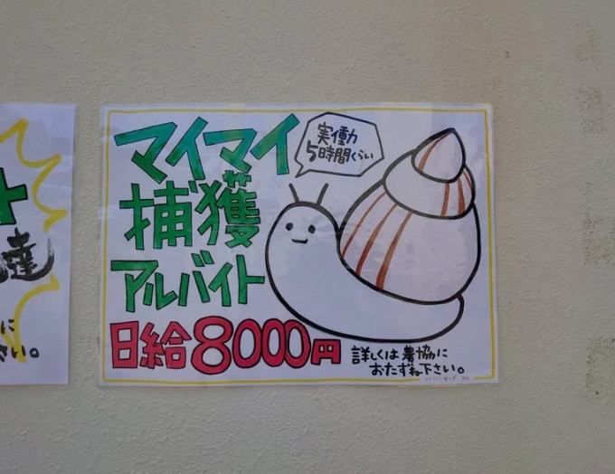 海报上画著一只大大的蜗牛，写著工作内容是捕捉蜗牛，每日工作时间约为5小时，日薪是8000日元。Twitter图片