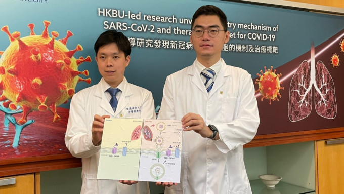 浸大研究团队发现一款蛋白酶能成为治疗新冠的标靶 ，王凯亮（左）。谢宗英摄