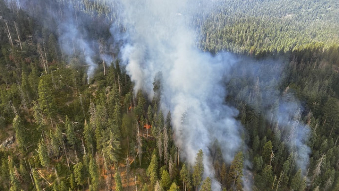 美国加州发生大面积山林大火，约101公顷林木被焚毁。AP图片