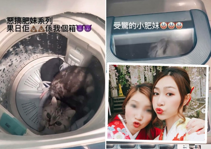 黄嘉雯（右）的胞姊将一只猫放进洗衣机，并曾开机至少14秒，期间猫猫表现惊慌。影片截图