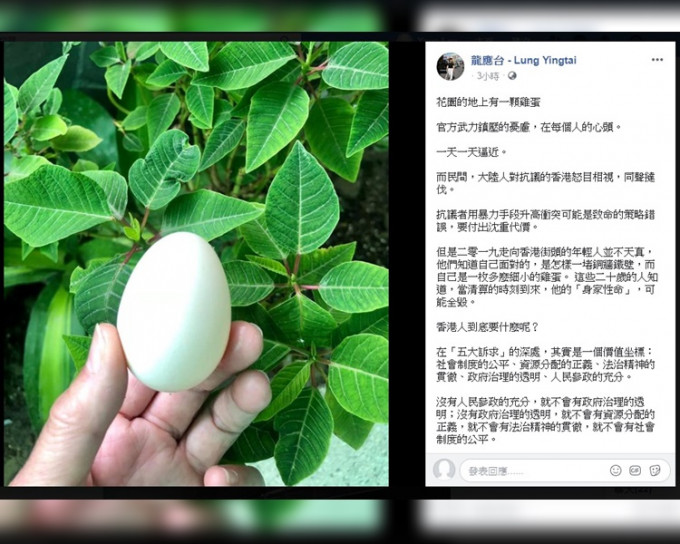 龍應台日前在網上發表意見將香港比喻為「花園地上的一顆雞蛋」。
