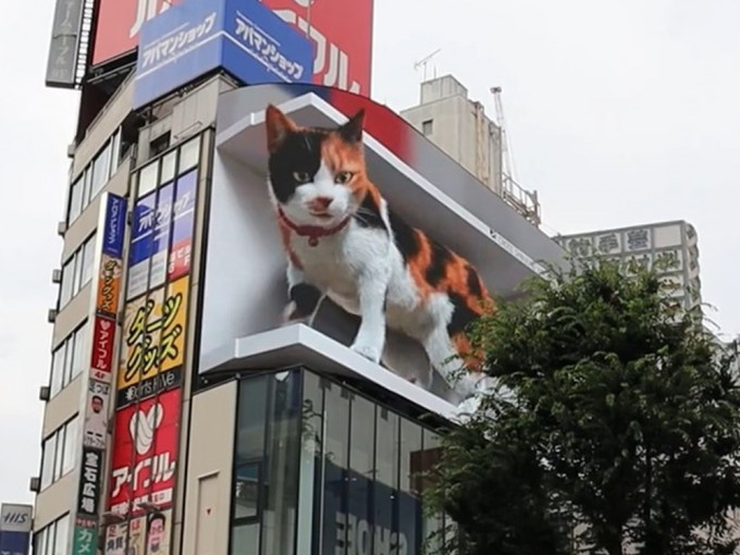 日本東京都新宿站外一棟建築物物外牆上，出現一隻巨型三色貓，吸引不少民眾特地前來「朝聖」。影片截圖