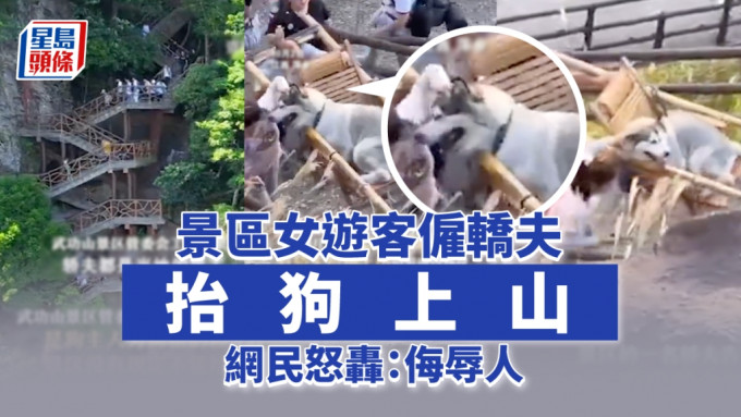 江西景区有女游客雇轿夫抬狗上山被批侮辱人，轿夫却说不会理会网上声音。