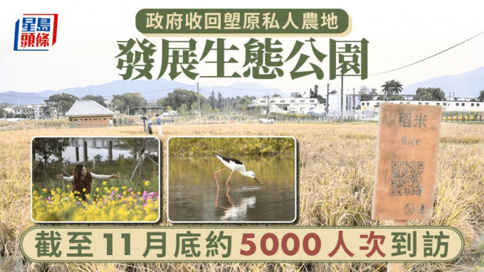 北都｜政府收回塱原私人農地發展生態公園 至11月底約5000人次到訪