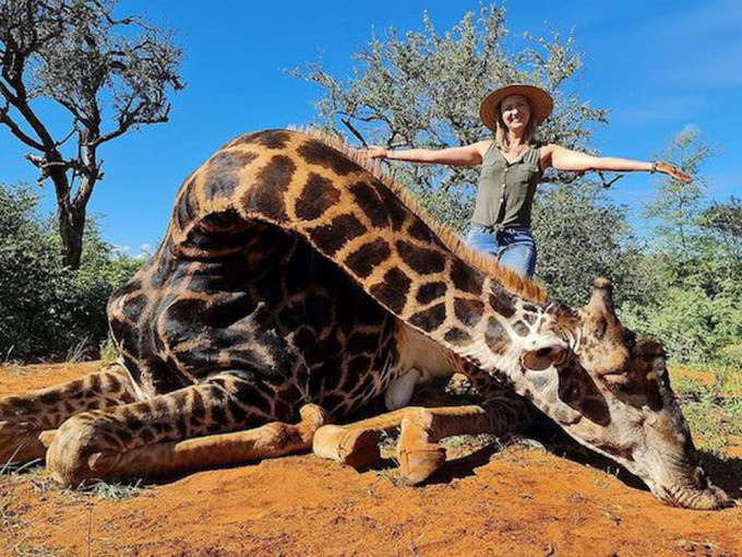 美莉兹在事后更与长颈鹿的尸体拍照，并上载到社交媒体炫耀。（网图）