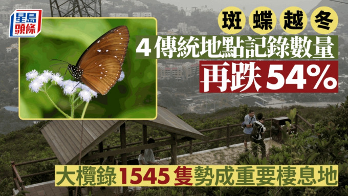 绿色力量发现4个传统越冬斑蝶地点数量下跌54%。