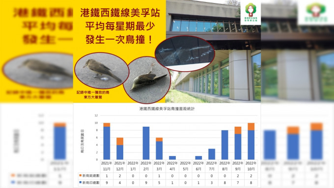 香港觀鳥會表示，上月在美孚港鐵站玻璃幕牆對出發現一隻懷疑受傷的東方大葦鶯。香港野生雀鳥保育關注組fb