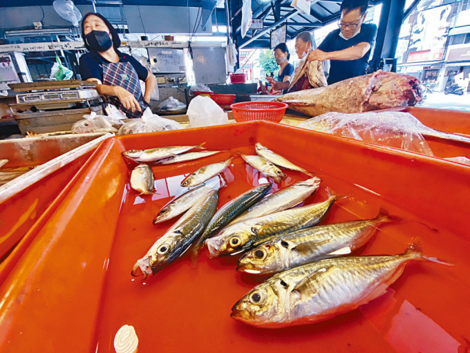中國海關總署暫停台灣冰鮮白帶魚、凍竹莢魚輸入。圖為高雄商販出售的竹莢魚。