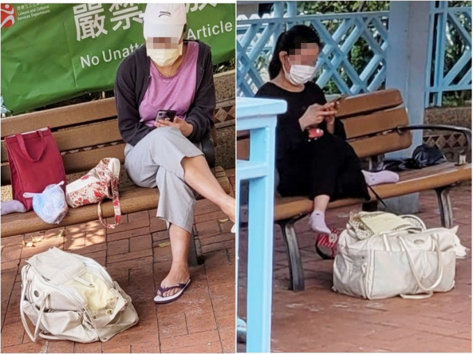 網民舉報有外傭放狗卻把狗困在寵物袋內。網民Wong Kwok圖片