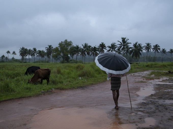 印度南部喀拉拉邦近日持續暴雨。AP