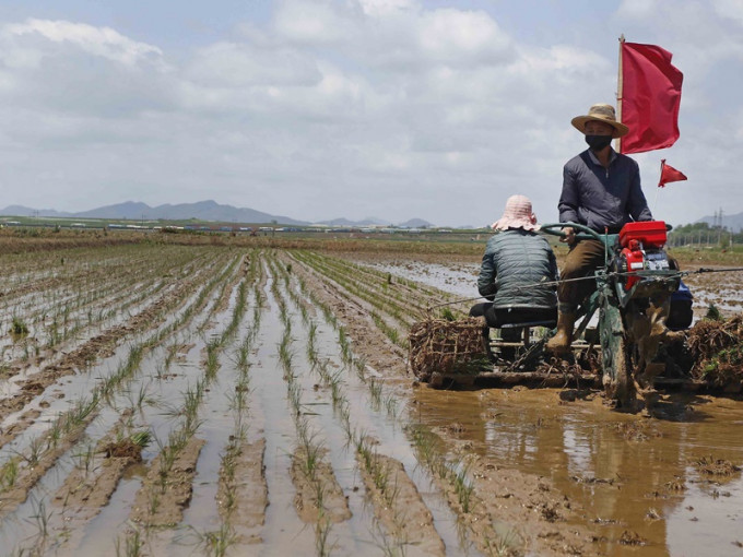 聯合國報告指北韓暴雨成災摧毀大面積農田。AP
