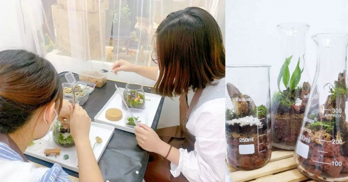 KKDay推出苔・木嘅苔蘚瓶放題工作坊及菇菌苔蘚瓶工作坊買一送一優惠。