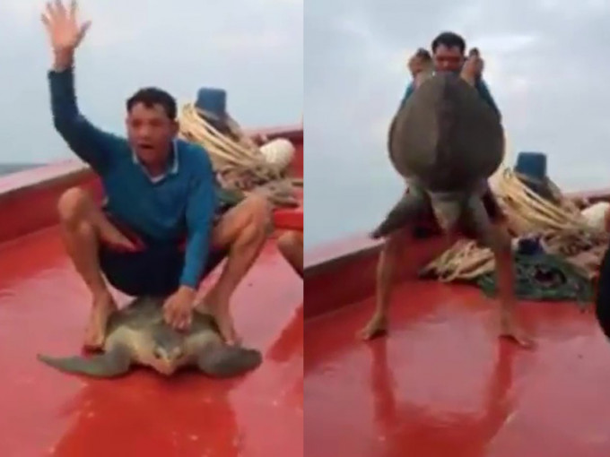 越南一名渔民被揭发虐待海龟。（网图）