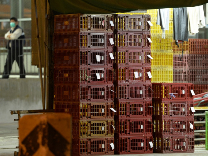 本港暂停越南高平省进口禽肉及禽类产品。资料图片