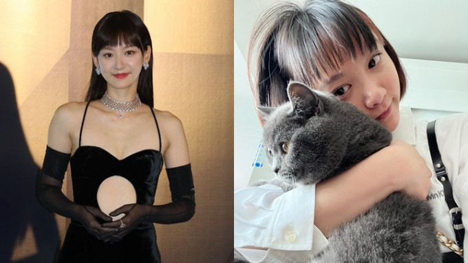 袁澧林因為貓毛過敏入院。