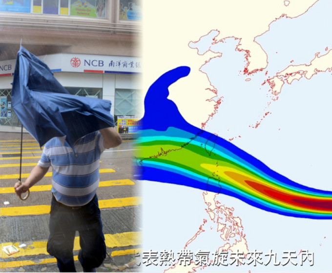 色彩夺目的「热带气旋路径概率预报图」反映热带气旋未来移动趋势。