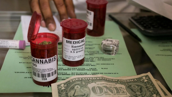 美国卫生部有科学家指大麻具医疗价值，建议放宽对它的管制。美联社
