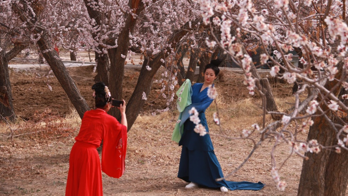 出游民众在樱花之下拍照。新华社图片