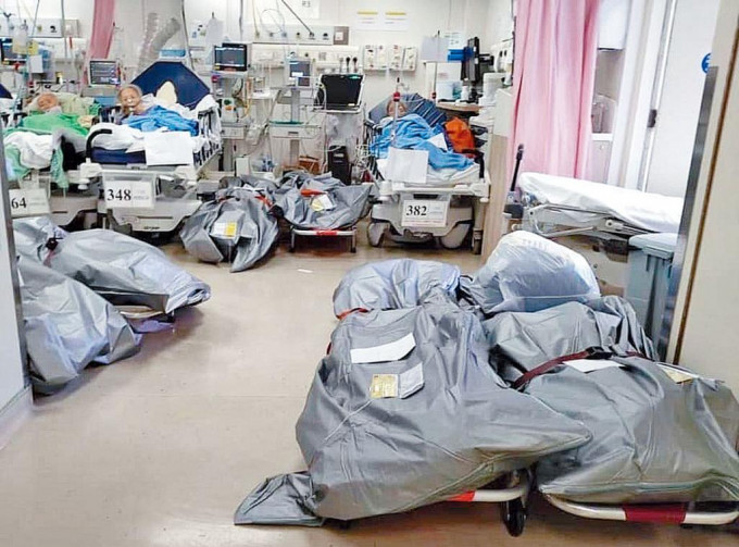 网上早前流传伊利沙伯医院病房内，地上放有大量遗体，与病人共处一室。