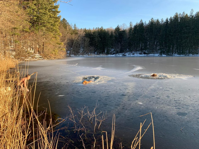美國紐約一名子為拯救兩隻被困冰湖中的小狗，冒寒跳進湖裡拯救。　FB圖片