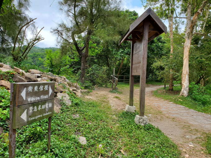 現場是深水埗大埔道金山郊野公園。 梁國峰攝