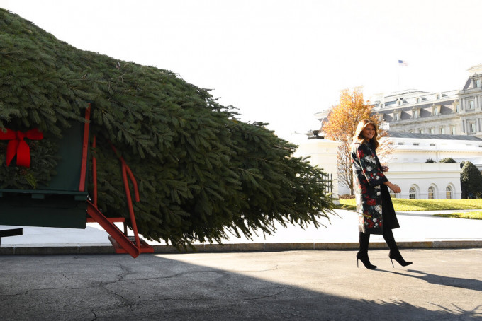 梅拉尼婭接收白宮聖誕樹。AP