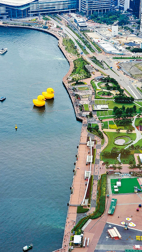 一对橡皮鸭子重临维港畅泳，掀起全城热话，吸引了大量市民到海滨「打卡」留念。
