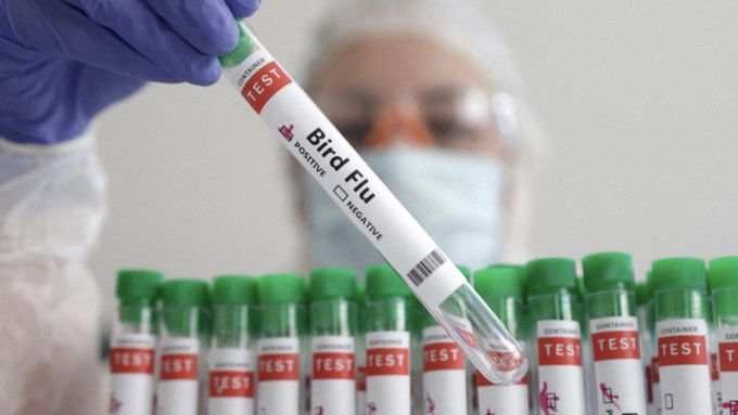 實驗室人員拿着寫有「禽流感」標籤的試管。 路透社