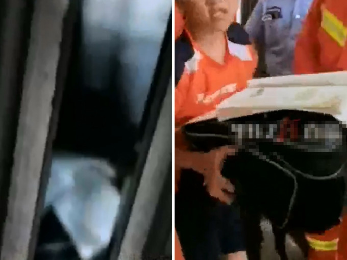福州一名男童被困電梯期間，竟冷靜地做功課。影片截圖