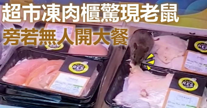 旺角超市凍肉櫃驚現老鼠。影片截圖