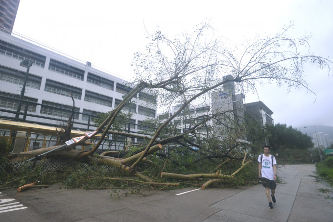 台风山竹对本港带来广泛破坏。资料图片