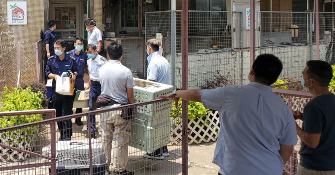 警方日前拘捕屯門一家寵物酒店負責人，懷疑與最近多宗偷運寵物及發現寵物屍體案有關。
