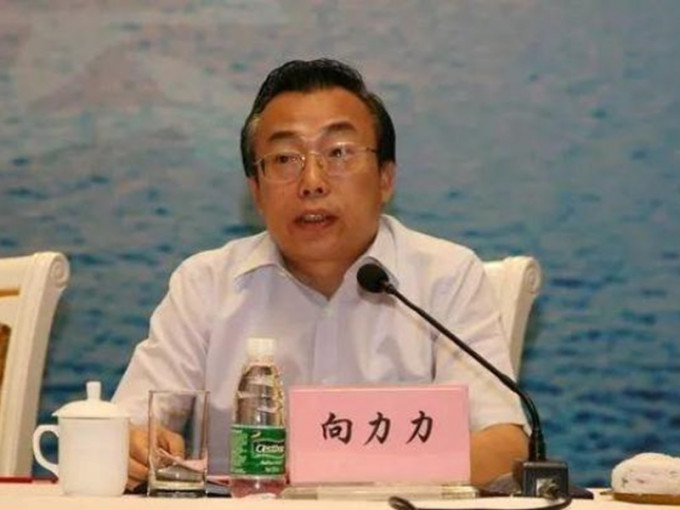 湖南省人大常委會前黨組成員、副主任向力力。網圖