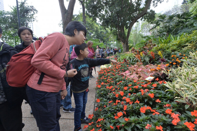 市民欣賞盈開燦爛的花卉。
