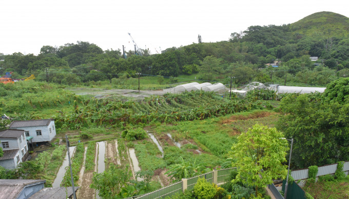 新界农地。资料图片