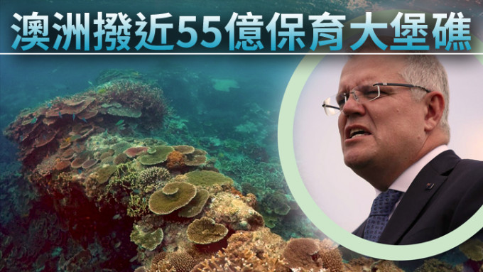 反對派批評，向大堡礁增撥款項是莫里森在臨近大選前的選舉工程之一。資料圖片