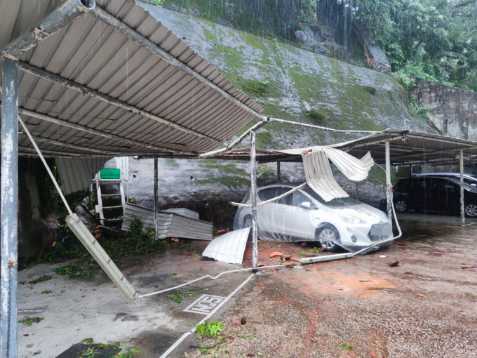 何文田大厦塌树，压毁屋苑车场及私家车。