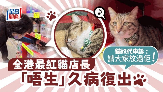 粉丝玩谢猫店长「唔生」  猫奴代申诉：请大家放过佢