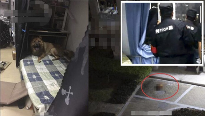 廣州大學有保安員虐打流浪狗後，再將牠從3樓扔下，引起內地網民公憤。