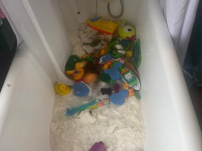 18卷厕纸被儿子丢进浴缸惨变纸浆，在厠纸抢购潮下，英妈崩溃。(网图)