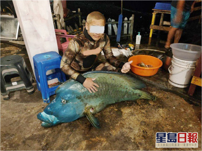 台東2男疑獵殺瀕臨絕種的「龍王鯛」,並放上網炫耀。網圖