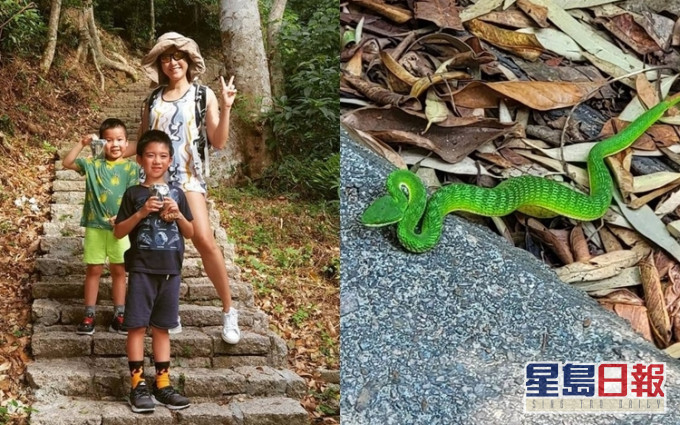 陈茵媺好锺意同子女行山,仲喺南丫岛遇到青色蛇。