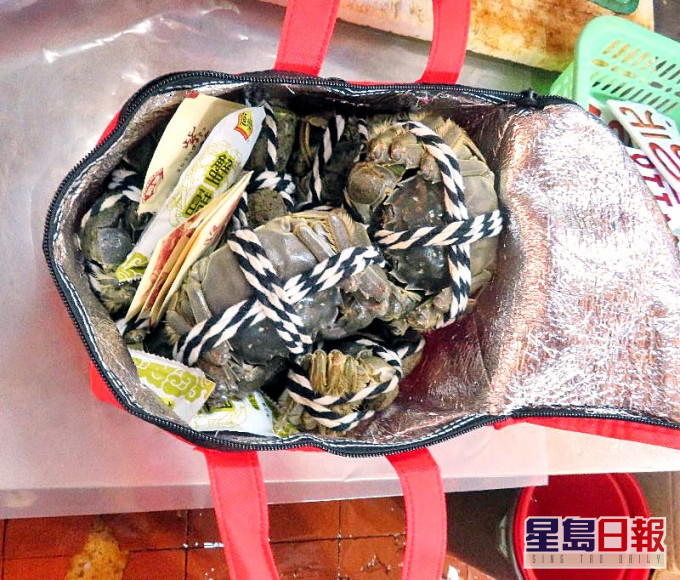 食環署行動中檢獲的大閘蟹。