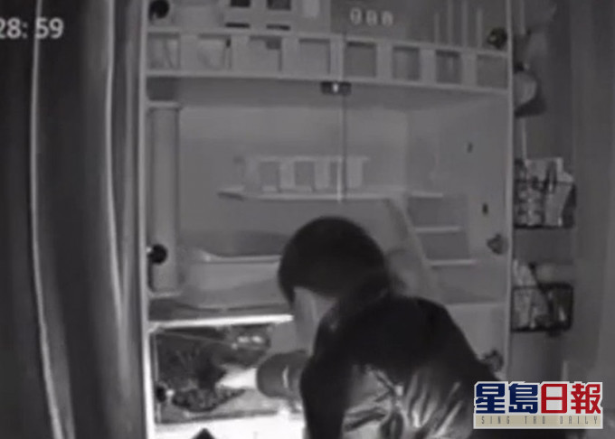 林姓爆疑犯疑在偷窃现场顾着玩猫,被拍下体形等待徵迅即被捕。影片截图