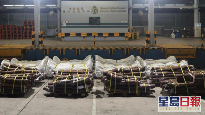 海關人員在葵涌海關大樓驗貨場檢獲的懷疑受管制紫檀木材。政府圖片