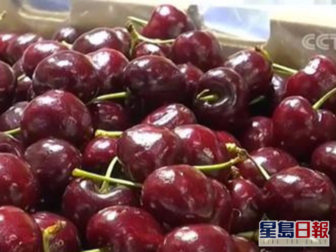石家莊進口車厘子複檢未發現病毒。(網圖)