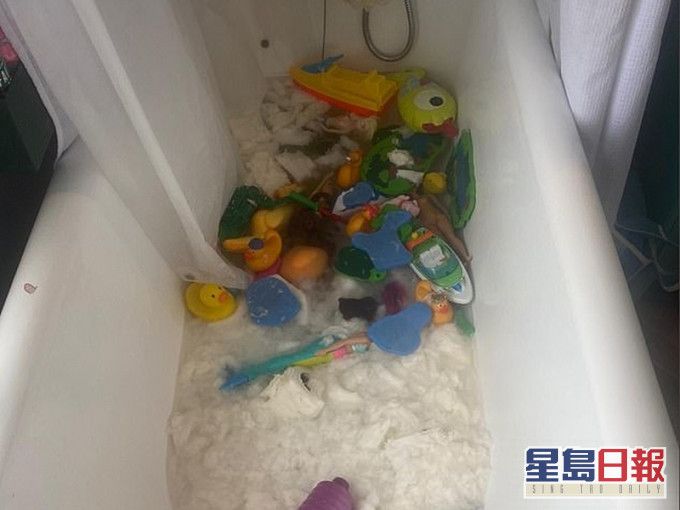 18卷廁紙被兒子丟進浴缸慘變紙漿,在厠紙搶購潮下,英媽崩潰。(網圖)