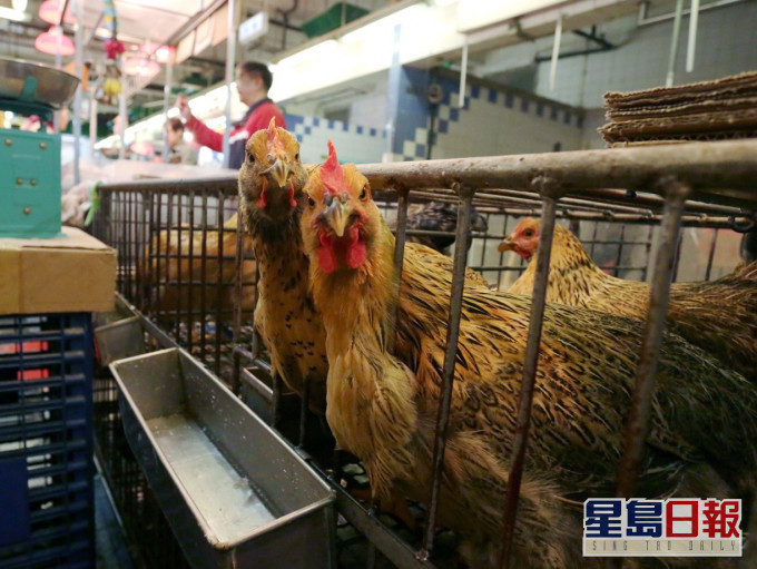 本港暫停進口疫區禽類產品。資料圖片